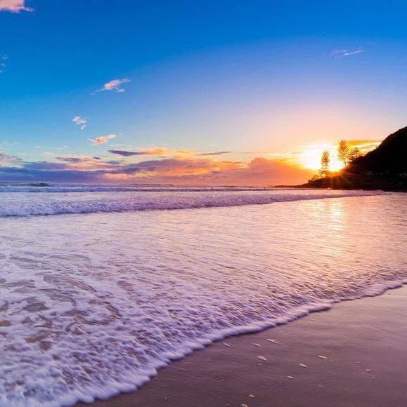 Meet your Posher, Danny - Picture 1 of 1